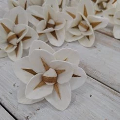Sola Wood Flowers Wholesale North Star- Multiple Sizes Available