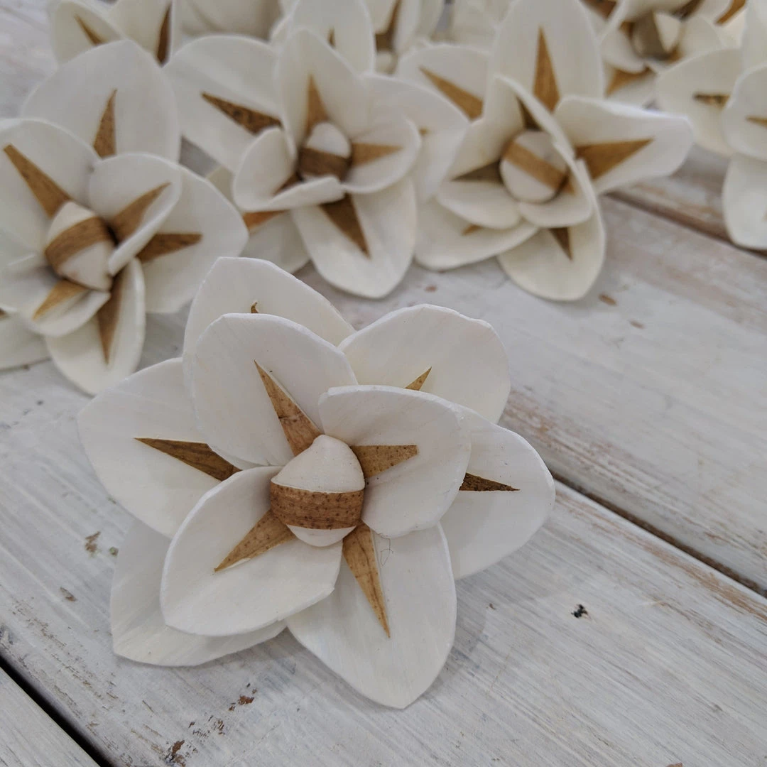 Sola Wood Flowers Wholesale North Star- Multiple Sizes Available
