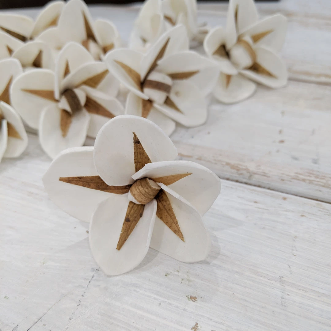 Sola Wood Flowers Wholesale North Star- Multiple Sizes Available