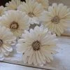Sola Wood Flowers Wholesale Sola Wood Flower Sets Shasta- 2.5 Inches