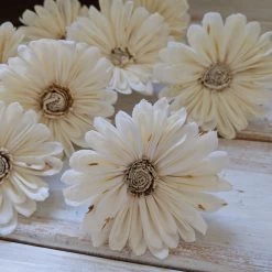 Sola Wood Flowers Wholesale Sola Wood Flower Sets Shasta- 2.5 Inches