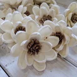 Sola Wood Flowers Wholesale Spellbound - Set Of 12 - Multiple Sizes Available