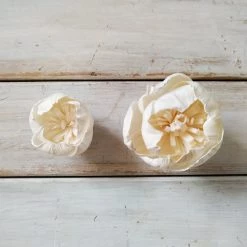 Oh! You're Lovely Roman - Set Of 12- Multiple Sizes