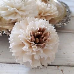 Oh! You're Lovely Sola Wood Flower Sets Latte - Set Of 12- Multiple Sizes