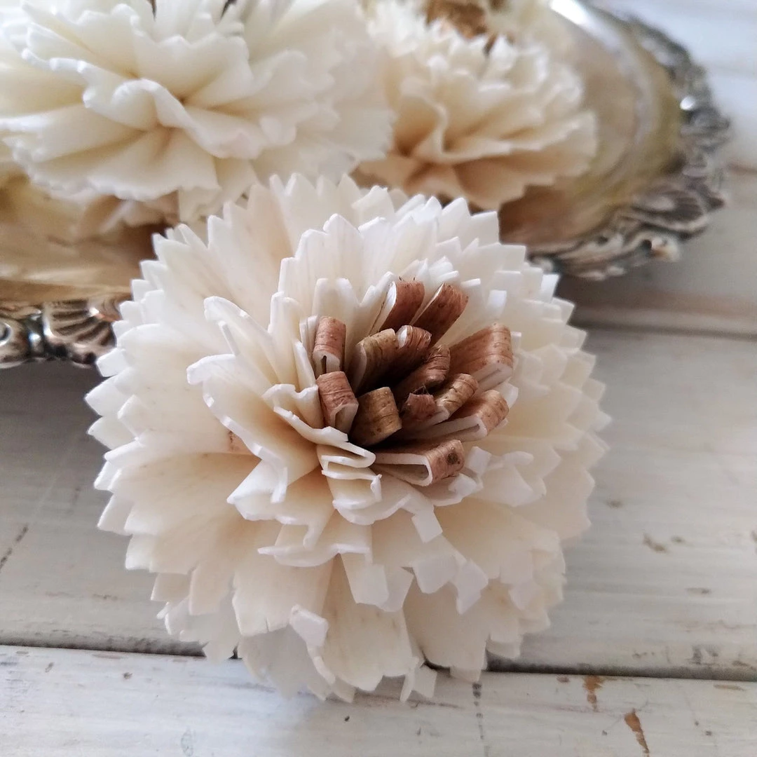 Oh! You're Lovely Sola Wood Flower Sets Latte - Set Of 12- Multiple Sizes