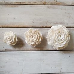 Oh! You're Lovely Clara Rose - Set Of 12- Multiple Sizes Available Sola Wood Flower Sets