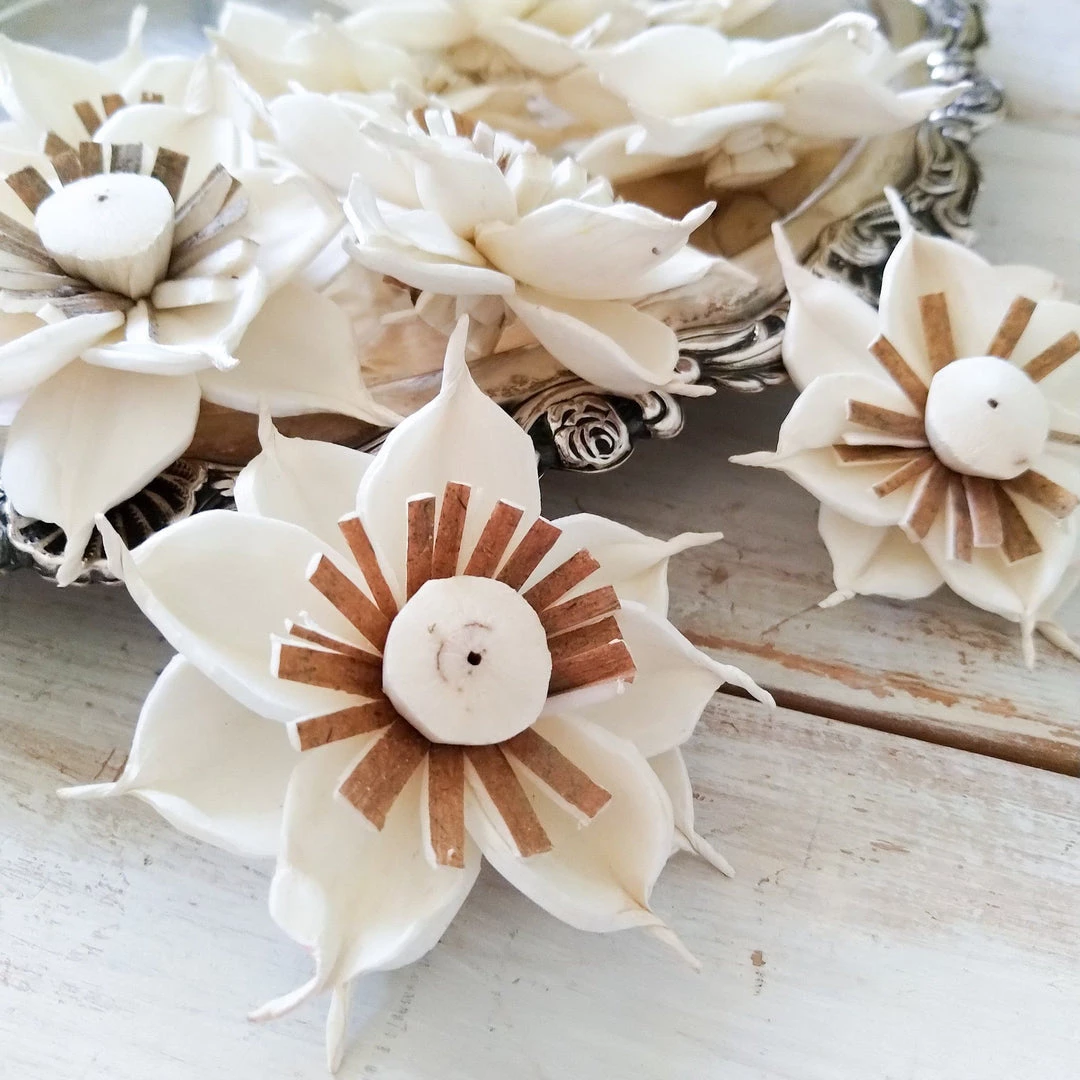 Oh! You're Lovely Starburst - Set Of 12- 2.5 Inches Sola Wood Flower Sets