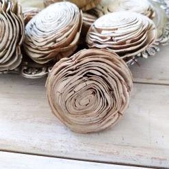 Oh! You're Lovely Bark Wonderland - Set Of 12 - 2.5 Inches Sola Wood Flower Sets