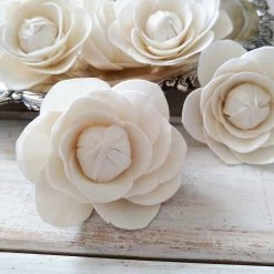 Oh! You're Lovely Sola Wood Flower Sets Camellia - Set Of 12 - Multiple Sizes Available