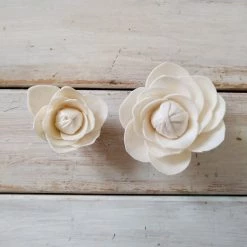 Oh! You're Lovely Sola Wood Flower Sets Camellia - Set Of 12 - Multiple Sizes Available