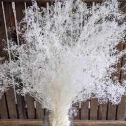 Oh! You're Lovely - Sola Wood Flowers Greenery And Filler Mini Gyp-Bleached