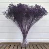 Oh! You're Lovely - Sola Wood Flowers Greenery And Filler Broom Bloom - Eggplant