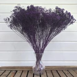 Oh! You're Lovely - Sola Wood Flowers Greenery And Filler Broom Bloom - Eggplant