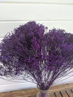 Oh! You're Lovely - Sola Wood Flowers Greenery And Filler Broom Bloom - Eggplant