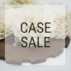 Sola Wood Flowers Wholesale Case Sale - Miss Ivy 2.5 Inches 900 Flowers