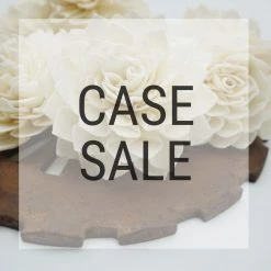 Sola Wood Flowers Wholesale Case Sale - Miss Ivy 2.5 Inches 900 Flowers