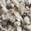 Oh! You're Lovely - Sola Wood Flowers Mini Assortment - Set Of 50 Bulk Sola Wood Flower Packs
