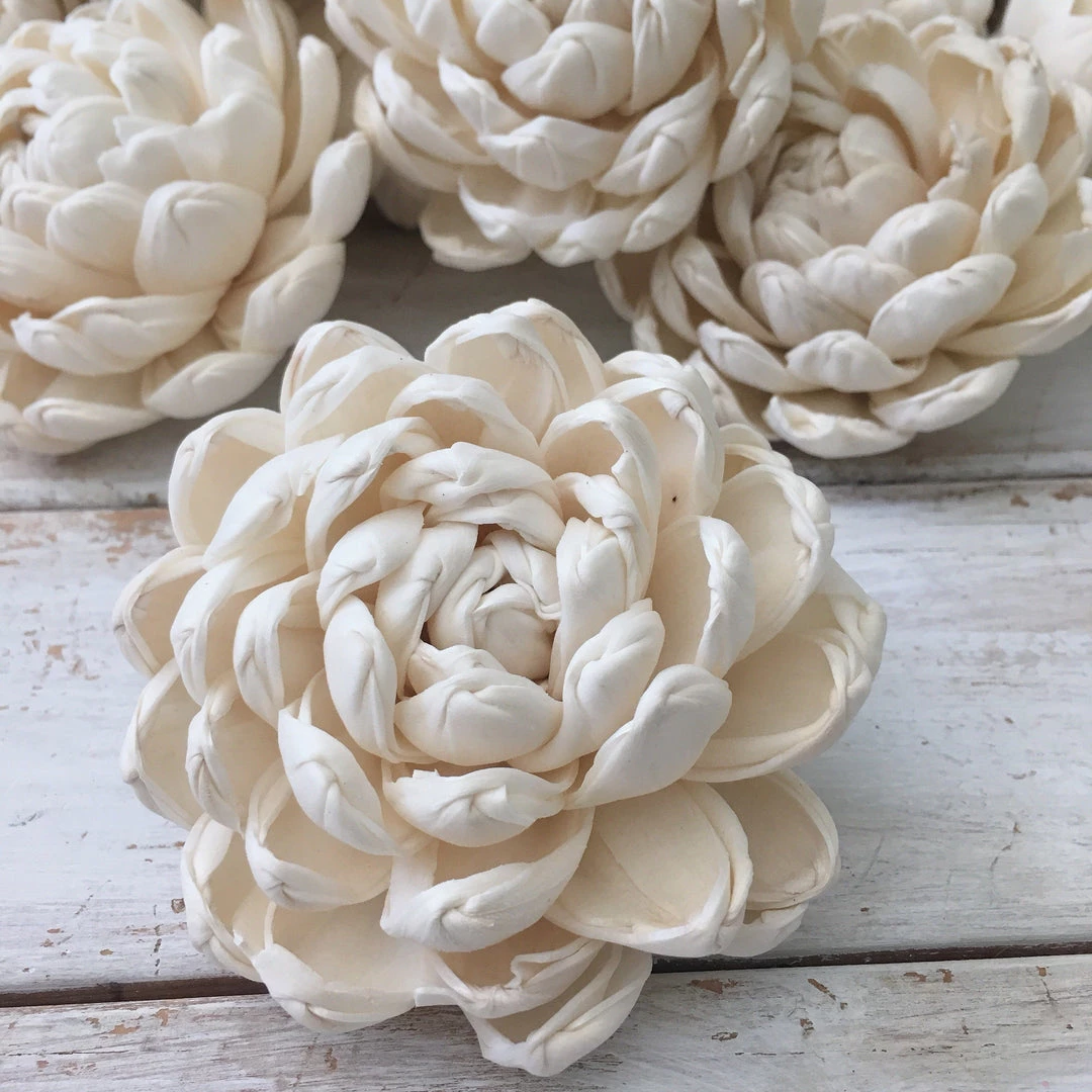 Oh! You're Lovely - Sola Wood Flowers Dazzle - Set Of 12 - Multiple Sizes Available