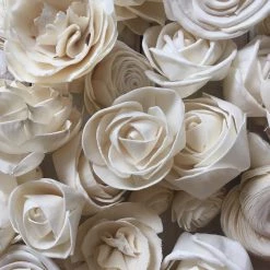 Oh! You're Lovely - Sola Wood Flowers Rose Assortment - Set Of 50