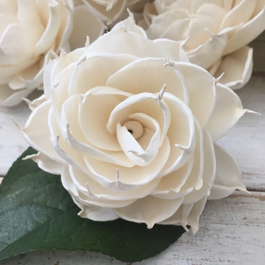 Oh! You're Lovely - Sola Wood Flowers Sola Wood Flower Sets Sugar And Spice - Set Of 12