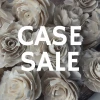 Sola Wood Flowers Wholesale Sold By The Case Case Sale - Sophia 2.5 Inches - 1000 Flowers