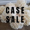 Sola Wood Flowers Wholesale Case Sale - Carnation 1.5 Inches - 2400 Flowers