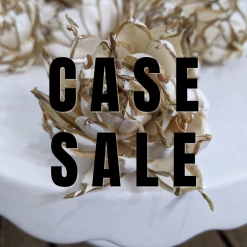 Sola Wood Flowers Wholesale Case Sale - Artichoke 2.5 Inches - 1000 Flowers Bulk Sola Wood Flower Packs