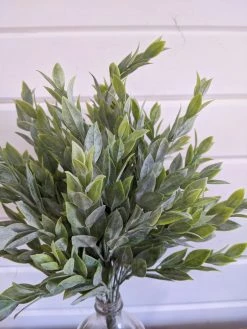 Oh! You're Lovely - Sola Wood Flowers Greenery And Filler Large Ruscus Leaves - Artificial Greenery - 14 Inches
