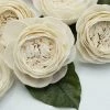 Oh! You're Lovely Cabbage Rose - Bulk Wholesale 50 Pack - 3 Inches Bulk Sola Wood Flower Packs