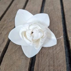 Oh! You're Lovely Celeste™ - Set Of 12 - 2.5 Inches Sola Wood Flower Sets