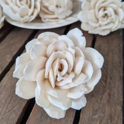 Oh! You're Lovely Chippy - Set Of 12 - Multiple Sizes Available