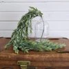 Oh! You're Lovely - Sola Wood Flowers Greenery And Filler Large Ruscus Leaves- Artificial Hanging Greenery - 33 Inches