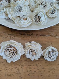 Sola Wood Flowers Wholesale Sola Wood Flower Sets Harvest Waterlily - Set Of 12 - Multiple Sizes Available