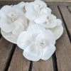 Oh! You're Lovely - Sola Wood Flowers Sola Wood Flower Sets Hibiscus - Set Of 12 - 2.5 Inches
