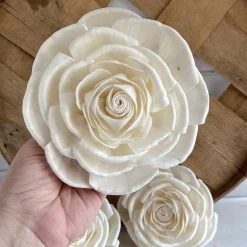 Oh! You're Lovely Sola Wood Flower Sets Paris | X-Large | Set Of 3