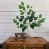Oh! You're Lovely - Sola Wood Flowers Artificial Ficus