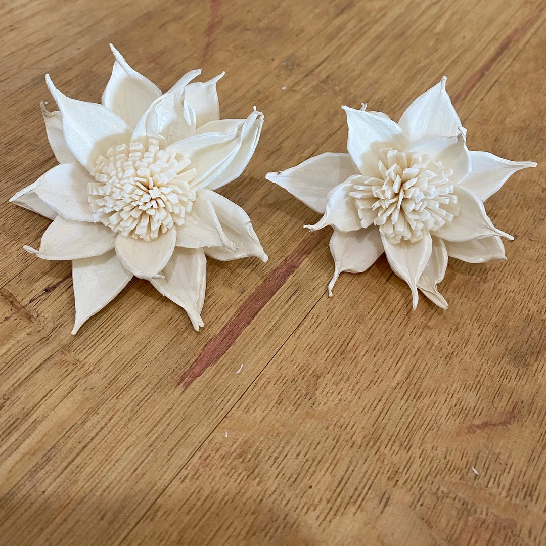 Oh! You're Lovely - Sola Wood Flowers Sundance - Set Of 12 - Multiple Sizes Available Sola Wood Flower Sets