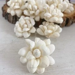 Oh! You're Lovely Sola Wood Flower Sets Halo Flower - Set Of 12 - Multiple Sizes Available