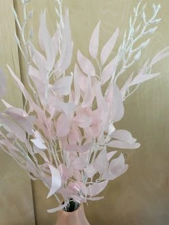 Oh! You're Lovely - Sola Wood Flowers Greenery And Filler Artificial Seeded Italian Ruscus | Basics Collection | Light Pink