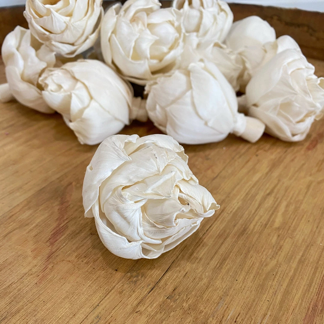 Oh! You're Lovely - Sola Wood Flowers Hawaiian Ginger⢠- Set Of 12 - 2.5" Sola Wood Flower Sets