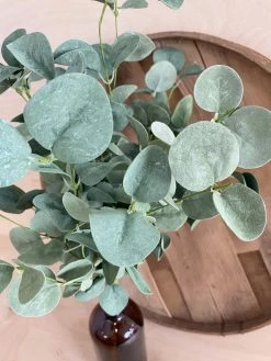 Oh! You're Lovely - Sola Wood Flowers Eucalyptus, Soft To The Touch - Faux