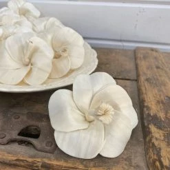 Oh! You're Lovely - Sola Wood Flowers Hibiscus - Set Of 12 - 3 Inches Sola Wood Flower Sets