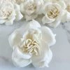 Oh! You're Lovely Damask ™ - Set Of 12 - 2.5 Inches Sola Wood Flower Sets