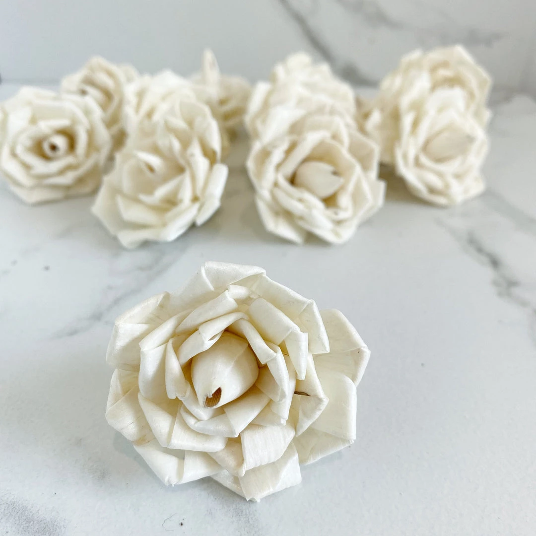 Oh! You're Lovely Blooming Clara ™ - Set Of 12 - Multiple Sizes Available