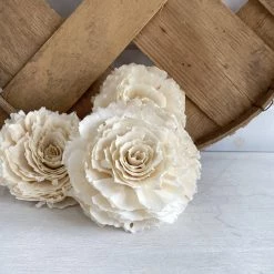 Oh! You're Lovely Sola Wood Flower Sets Sophia | X-Large | Set Of 3