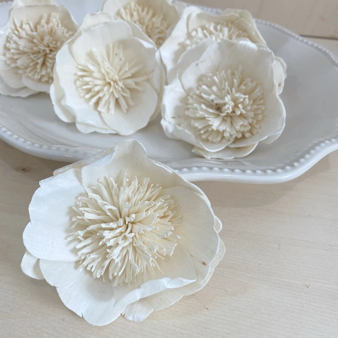 Oh! You're Lovely Mature Poppy™ Set Of 6 Sola Wood Flower Sets