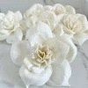 Oh! You're Lovely Sola Wood Flower Sets Damask ™ - Set Of 6 - 3 Inches
