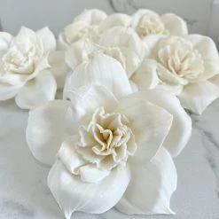 Oh! You're Lovely Sola Wood Flower Sets Damask ™ - Set Of 6 - 3 Inches