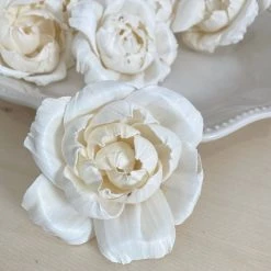 Oh! You're Lovely Blooming Peony™ Set Of 6