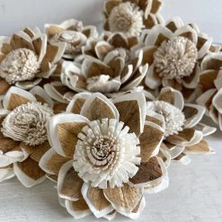 Oh! You're Lovely - Sola Wood Flowers Bashful- Perfectly Imperfect- Set Of 12 (please Read Description) Sola Wood Flower Sets